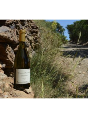 Côtes du Roussillon "Les Orris" Blanc