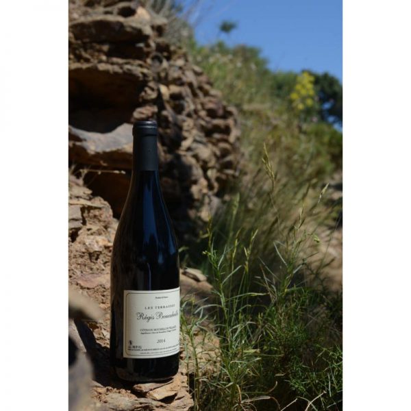 Magnum Côtes du Roussillon Villages "Les Terrasses"