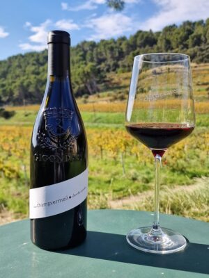 Champ Vermeil Gigondas 2021